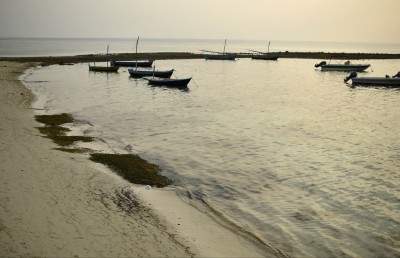 ކޮވިޑް-19: ވަށަފަރާއި މޮޅަދޫން ދެ މީހަކު އައިސޮލޭޓް ކޮށްފި