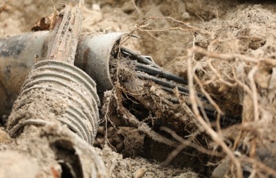 އަމީނީމަގު: ގަސްތައް ނެގޭކަށް ނެތް، ނުނަގާ ވާކަށް ނެތް؟