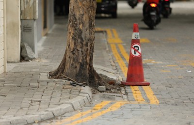 އަމީނީމަގު: ގަސްތައް ނެގޭކަށް ނެތް، ނުނަގާ ވާކަށް ނެތް؟