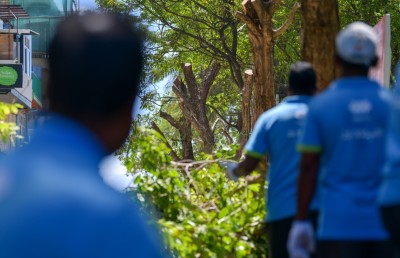 އަމީނީމަގު: ގަސްތައް ނެގޭކަށް ނެތް، ނުނަގާ ވާކަށް ނެތް؟