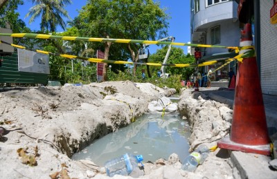 އަމީނީމަގު: ގަސްތައް ނެގޭކަށް ނެތް، ނުނަގާ ވާކަށް ނެތް؟