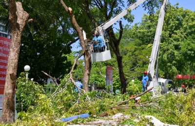 އަމީނީމަގު: ގަސްތައް ނެގޭކަށް ނެތް، ނުނަގާ ވާކަށް ނެތް؟