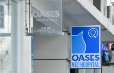 ބުޅާތައް މަރުވިގޮތް ބަލަނީ، އިހުމާލެއް އޮތް ކަމަކަށް އަދި ނުފެނޭ:  އޮއޭސިސް