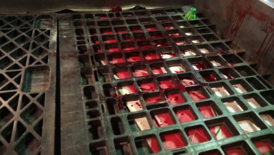 ބިދޭސީއަކަށް ހަމަލާ ދިނުމަށް ފަހު ފިލިމީހާ ހައްޔަރުކޮށްފި