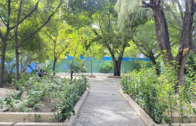 ކައުންސިލުން ސިޓީ ޕާކު އަލުން ތަރައްގީކުރަނީ