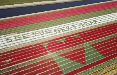 ނެދަލެންޑްސްގެ ޓިއުލިޕް ބަގީޗާތަކުން މެސެޖެއް