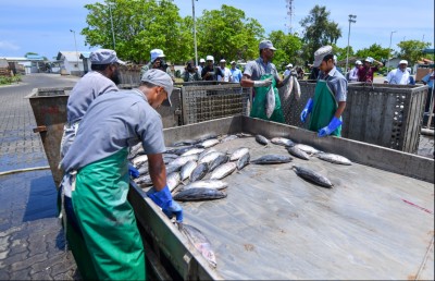 މިދިޔަ އަހަރުގެ ޖުމްލަ އެކްސްޕޯޓަށް 21 މިލިއަން ޑޮލަރު އިތުރުވި