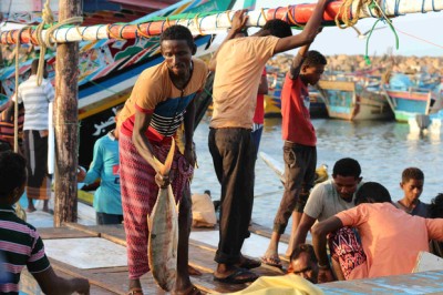 ދާހިލީ ހަނގުރާމައިގެ ސަބަބުން ހުދެއިދާގެ މަސްވެރިން ގޮތް ހުސްވެފައި