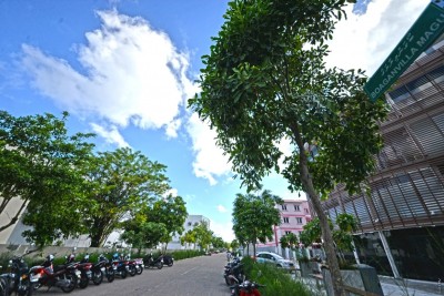 އެންސިސްގެ ދެ މިލިއަނަށް ވުރެ ގިނަ ރުފިޔާ ފޭރިގެންފި