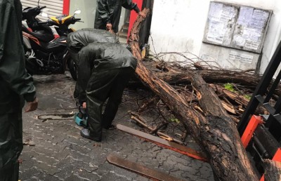 ވިއްސާރައިގައި މާލެ އިން ގަސްތަކެއް ވެއްޓި ގެއްލުންވެއްޖެ