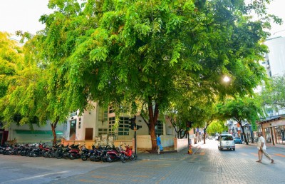 ރެންޑަމް ސާމްޕަލަކުން އިބްރާހިމީ މިސްކިތުގެ އިމާމު ކޮވިޑް-19 އަށް ޕޮޒިޓިވްވެއްޖެ