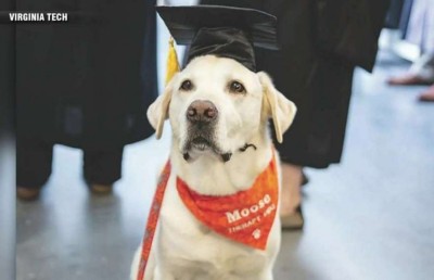 ކުއްތާއަކަށް އޮނަރަރީ ޑޮކްޓަރޭޓް ޑިގްރީއެއް