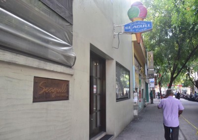 ސާފުތާހިރުކަން ކުޑަވެ ސީގަލް ބައްދުކޮށްފި