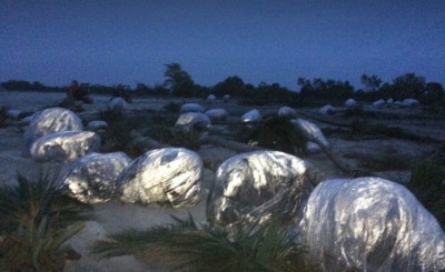 ރުއްގަސް ބޭރުކުރުން ހުއްޓުވައިފިން: ކަސްޓަމްސް