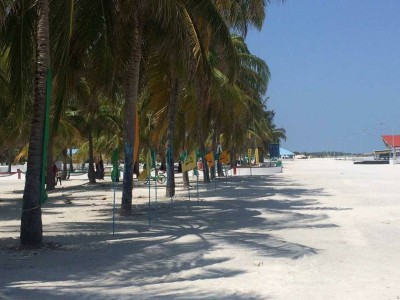 މަކުނުދޫގައި އެއާޕޯޓެއް އެޅުމުގެ ދިރާސާ އަށް ބައި މިލިއަން ރުފިޔާ ބަޖެޓްކޮށްފި