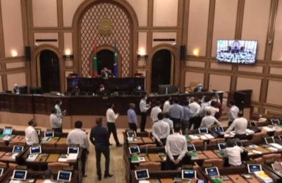 މަޖިލިސް ހަމަނުޖެހުން: ގޯސް ހެއްދެވީ ރިޔާސަތުން؟