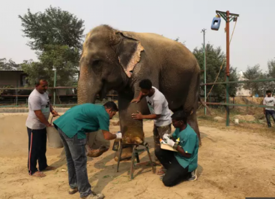 އެތަށް ހާއްސަ ހޮސްޕިޓަލެއް ފުރަތަމަ ފަހަރަށް އިންޑިއާގައި ހުޅުވައިފި