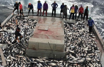 50 ޓަނު ބާނާލައި، ދުވާލަކު މިލިއަނެއް ހޯދުމަކީ އެއްވެސް ކަމެއް ނޫން: ބާހިރާ ދޯނި