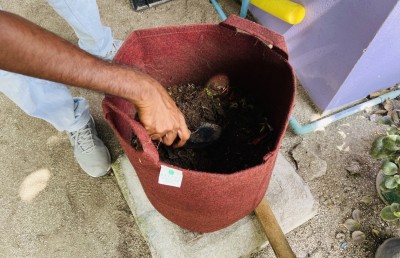 މެންދުރުގެ ކެއުން ކިހާދޫ ކުނިކޮށީގައި