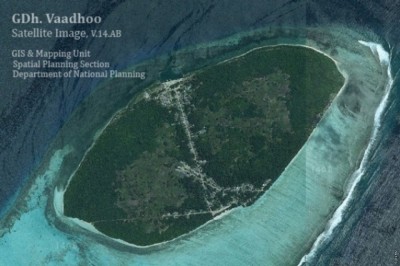 ވިހާފައި ބާލިދީ ތެރެއަށް ލާފައި އޮތް ކުއްޖެއް ފެނިއްޖެ