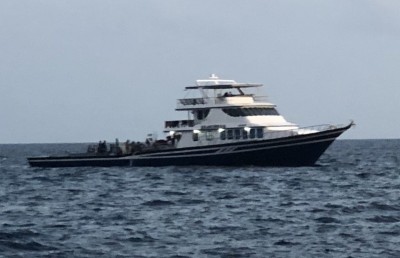 50 ޓަނު ބާނާލައި، ދުވާލަކު މިލިއަނެއް ހޯދުމަކީ އެއްވެސް ކަމެއް ނޫން: ބާހިރާ ދޯނި