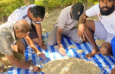 ރިނބުދޫން ފެނުނު ބޮލިވަޅުން 80،000 އަށް ވުރެ ގިނަ ބޮލި!