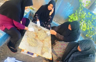 ރިނބުދޫން ފެނުނު ބޮލިވަޅުން 80،000 އަށް ވުރެ ގިނަ ބޮލި!