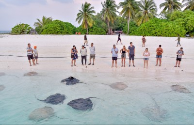 ޗާލު މަންޒަރުތަކެއް: މީހުން ބުނަނީ "އަދި އަންނާނަން"