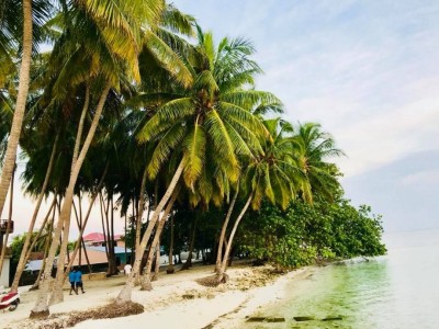 ކުޑަކުއްޖަކަށް ޖިންސީ ގޯނާ ކުރި ކަމުގެ ތުހުމަތުގައި ހުރާ އިން މީހަކު ހައްޔަރުކޮށްފި