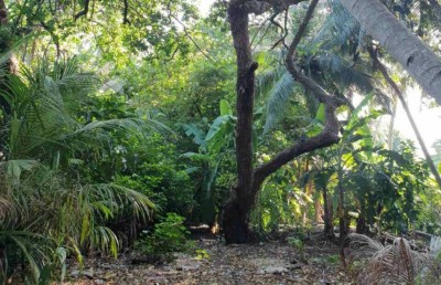 މާޅެންދޫ އަންހެނަކަށް މީހަކު ގޯނާކުރާތާ ފަސް އަހަރު، އެންމެ ފަހުން މަރުގެ ހަމަލާއެއް