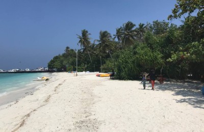 ވިލިމާލެ ވޯޓަ ސްޕޯޓްސް އޭރިއާ ތަރައްގީކޮށް، ހިންގާނެ ބަޔަކު ހޯދަން އިއުލާނުކޮށްފި