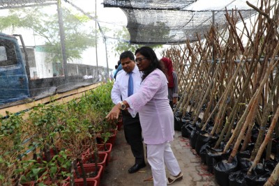 ބޮޑުތަކުރުފާނު މަގުގައި އިންދާނެ 2700 ގަސް ހަވާލުކޮށްފި