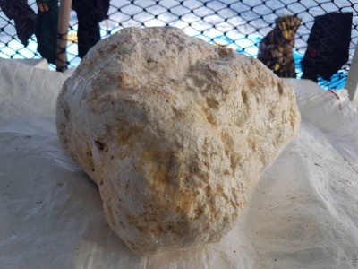 ފީވަކުން ހޮވި "މާވަހަރު"ގެ ބައެއް ޓެސްޓުކުރުމަށް މާލެ ގެނެސްފި