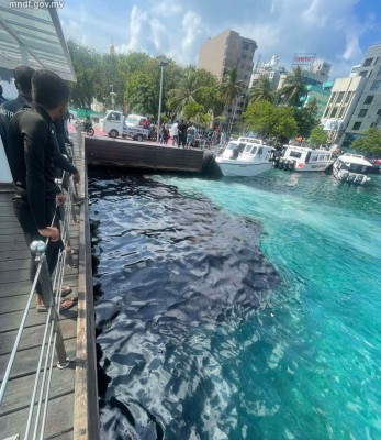 މާލޭ ފަޅުތެރޭގައި 1،000 ލީޓަރުގެ ކަޅުތެޔޮ؛ އީޕީއޭއިން މައްސަލަ ބަލަނީ