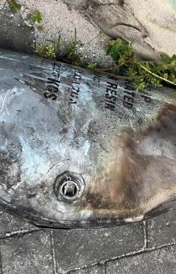 ނީލަން ފިހާރަ އަނދައި ހުލިވެއްޖެ