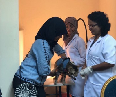 ޖަނަވާރުތަކުގެ ކްލިނިކްގެ ހިދުމަތް ވަގުތީގޮތުން ހުއްޓައިލަނީ
