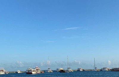 ޖިންސީ ގޯނާގެ މައްސަލައިގެ ކޭސް ލޮގް ހޯދަން އެންއައިސީން އެދިފައެއް ނެތް: ޕޮލިސް