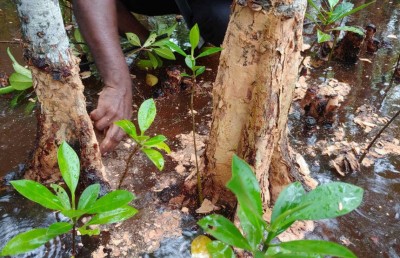 ރާއްޖޭގެ ކަނޑޫފާތަކަށް މިވަނީ ކިހިނެއް؟