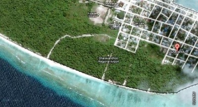 ޑައިވިންއަށް ދިޔަ ޓޫރިސްޓެއްގެ ގައިގައި ޑިންގީއަކުން ޖެހި އަނިޔާވެއްޖެ