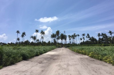 ނޮޅިވަރަމާއި ތޮއްޑޫގެ ހޯމް ކަރަންޓީނުގައި ތިބި ތިން މީހަކު ޕޮޒިޓިވްވެއްޖެ
