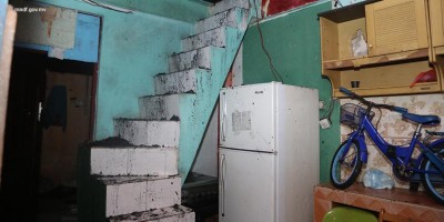 އަލިފާން ރޯވެ ގ. ރެޑްޕާލްގެ ތިން ފަންގިފިލާ، ދިރިނޫޅެވޭ ވަރަށް އަނދައިފި