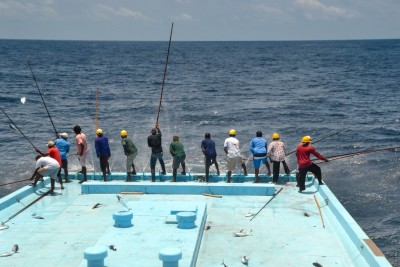 މިނިސްޓްރީގެ ހުއްދަ ނެތި މަސްރޭސް ނުބޭއްވޭގޮތް ހަދަނީ