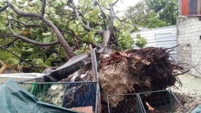 ބާރުގަދަ ނަގޫރޯޅިއެއްގައި ފޮނަދުއަށް ބޮޑެތި ގެއްލުންތައް