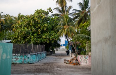 ބިލެއްދޫގެ މީރު ބިލެތްގަނޑު: ވަރަށް ނުރައްކާތެރި އިންޒާރެއް!