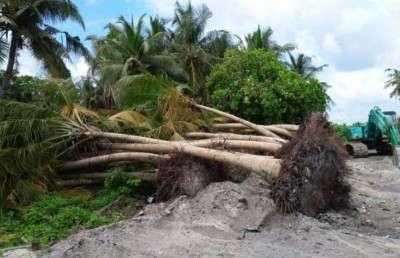 ތިމާވެއްޓާ ގުޅޭ މައްސަލަތައް ރިޕޯޓުކުރުމަށް ހާއްސަ ހޮޓްލައިނެއް ގާއިމް ކޮށްފި