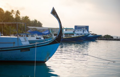 ބިލެއްދޫގެ މީރު ބިލެތްގަނޑު: ވަރަށް ނުރައްކާތެރި އިންޒާރެއް!