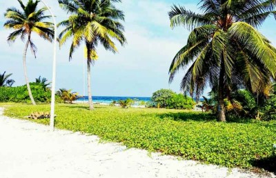 ކަމަދޫގައި ކަރަންޓީނުގައި ހުރި މީހަކު ޕޮޒިޓިވް ވެއްޖެ
