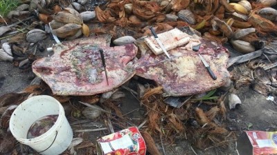 ރަދުންގެ އަމުރަށް ވެލާމަހާއި ބިސް "ހަރާމް" ކުރެއްވި