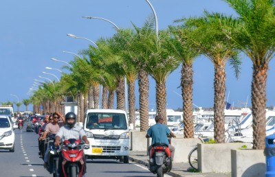 ކަދުރު ރުކާއި މޭވާ ގަސް ގަންނަން ސިޓީ ކައުންސިލުން ދެ މިލިއަން ރުފިޔާ ހަރަދުކުރި