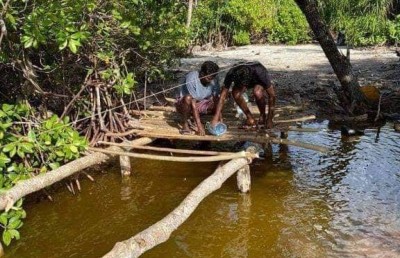 ކެނދިކުޅުދޫ ކުޅީގައި ޕާކެއް، އަޖައިބެއްހާ ރީތި!